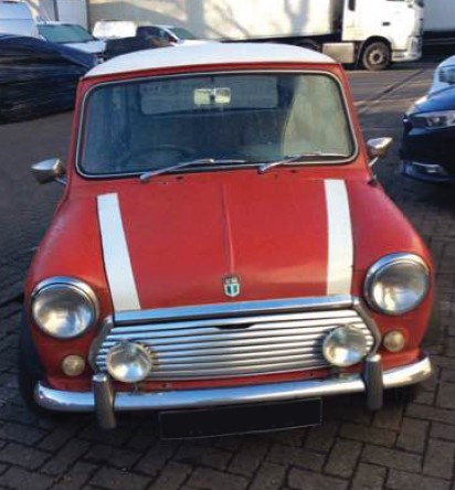 Rover Mini